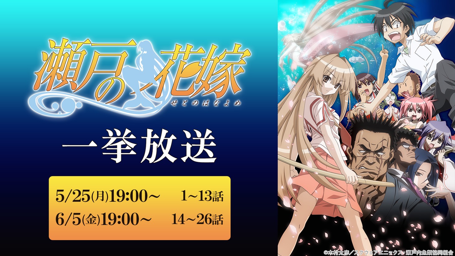 アニメ「瀬戸の花嫁」一挙放送の告知画像。