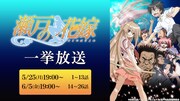 アニメ「瀬戸の花嫁」一挙放送の告知画像。
