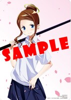 「SSSS.GRIDMAN 姫とサムライ」1巻と「SSSS.GRIDMAN 新世紀中学生日記」1巻の購入者に、アニメイトで進呈されるリバーシブルビジュアルボード。