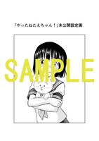 「やったねたえちゃん！」1巻の購入者に、アニメイトで配布される4Pリーフレット。