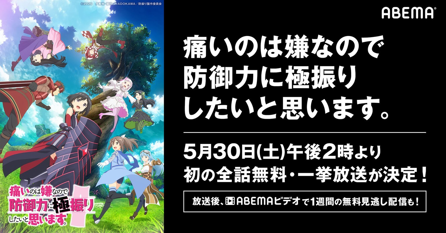 TVアニメ「痛いのは嫌なので防御力に極振りしたいと思います。」一挙放送のビジュアル。