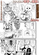 「ワイルド王子の素顔」より。