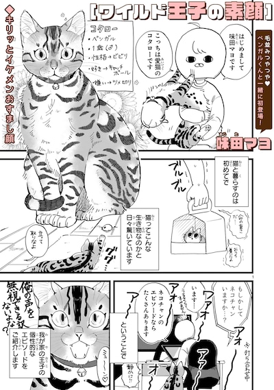 「ワイルド王子の素顔」より。
