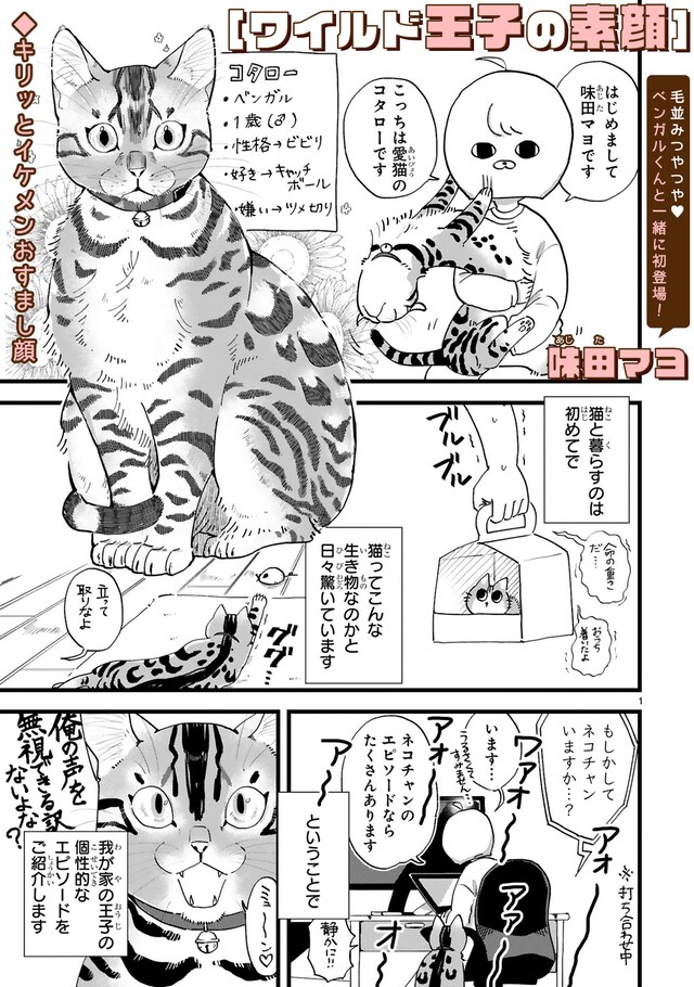 「ワイルド王子の素顔」より。