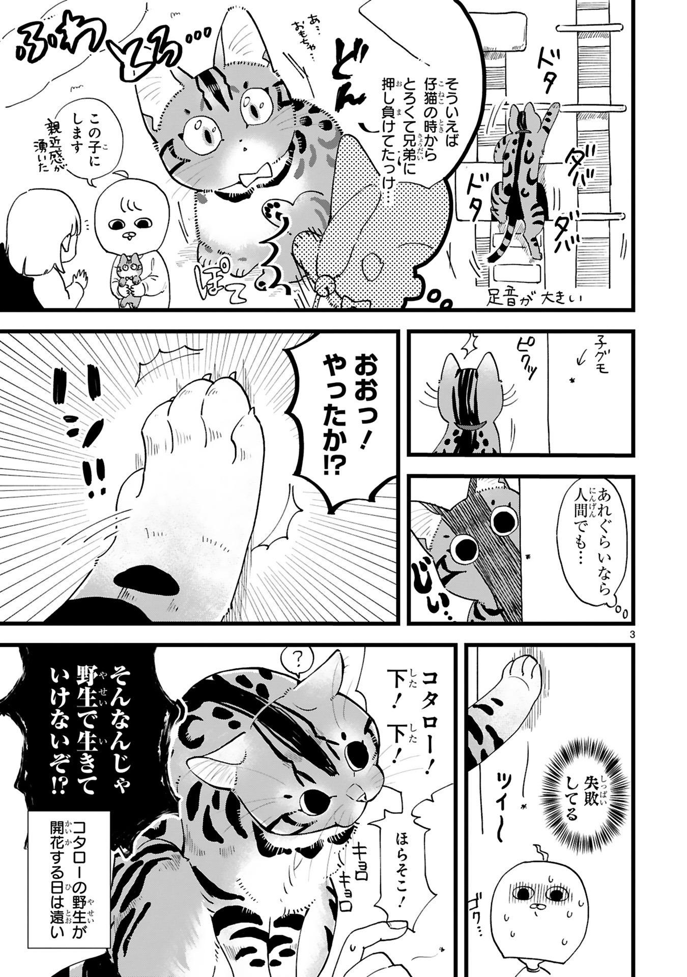 「ワイルド王子の素顔」より。