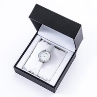 日番谷冬獅郎モデルの腕時計ケース。