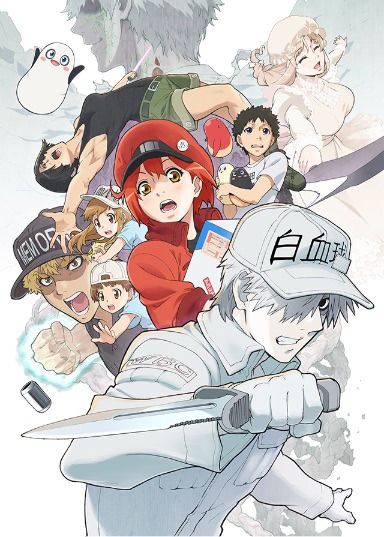 「はたらく細胞!!」(c)Akane Shimizu / KODANSHA, Aniplex, davidproduction