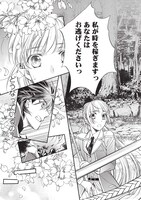 「遙かなる時空の中で7」より。