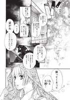 「遙かなる時空の中で7」より。