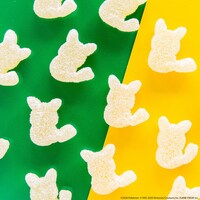 「ピュレグミ でんげきトロピカ味」