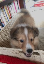 雲田はるこが選ぶベストショット。