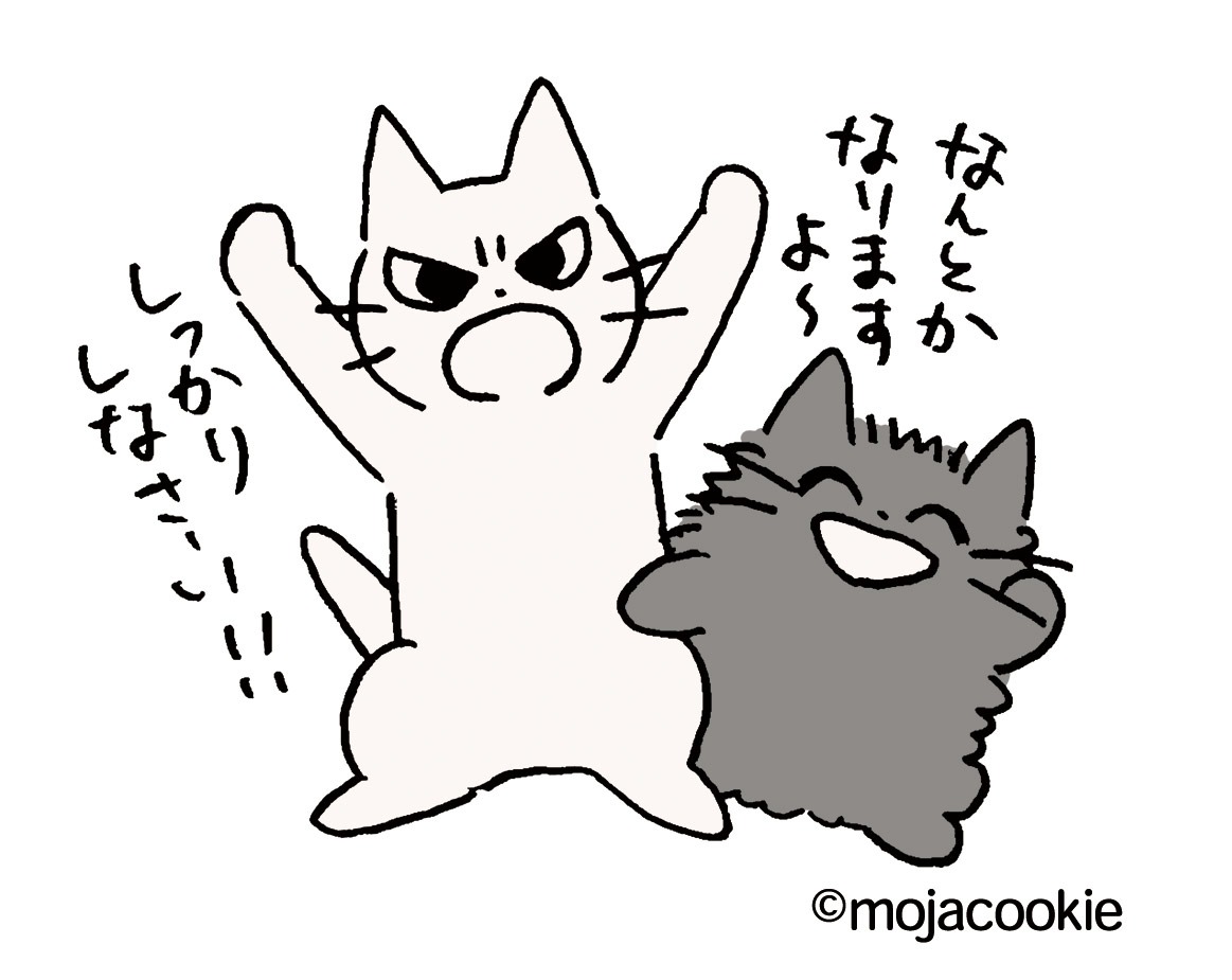 もじゃクッキーのプロフィール画像。