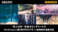 「秒速5センチメートル」ビジュアル(c)Makoto Shinkai / CoMix Wave Films