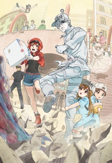 「はたらく細胞」©︎清水茜/講談社・アニプレックス・davidproduction
