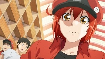 TVアニメ「はたらく細胞」第1期より
