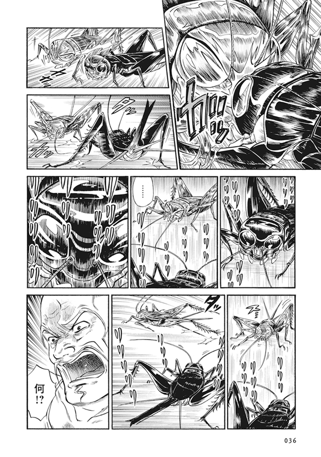 「B/W」より。
