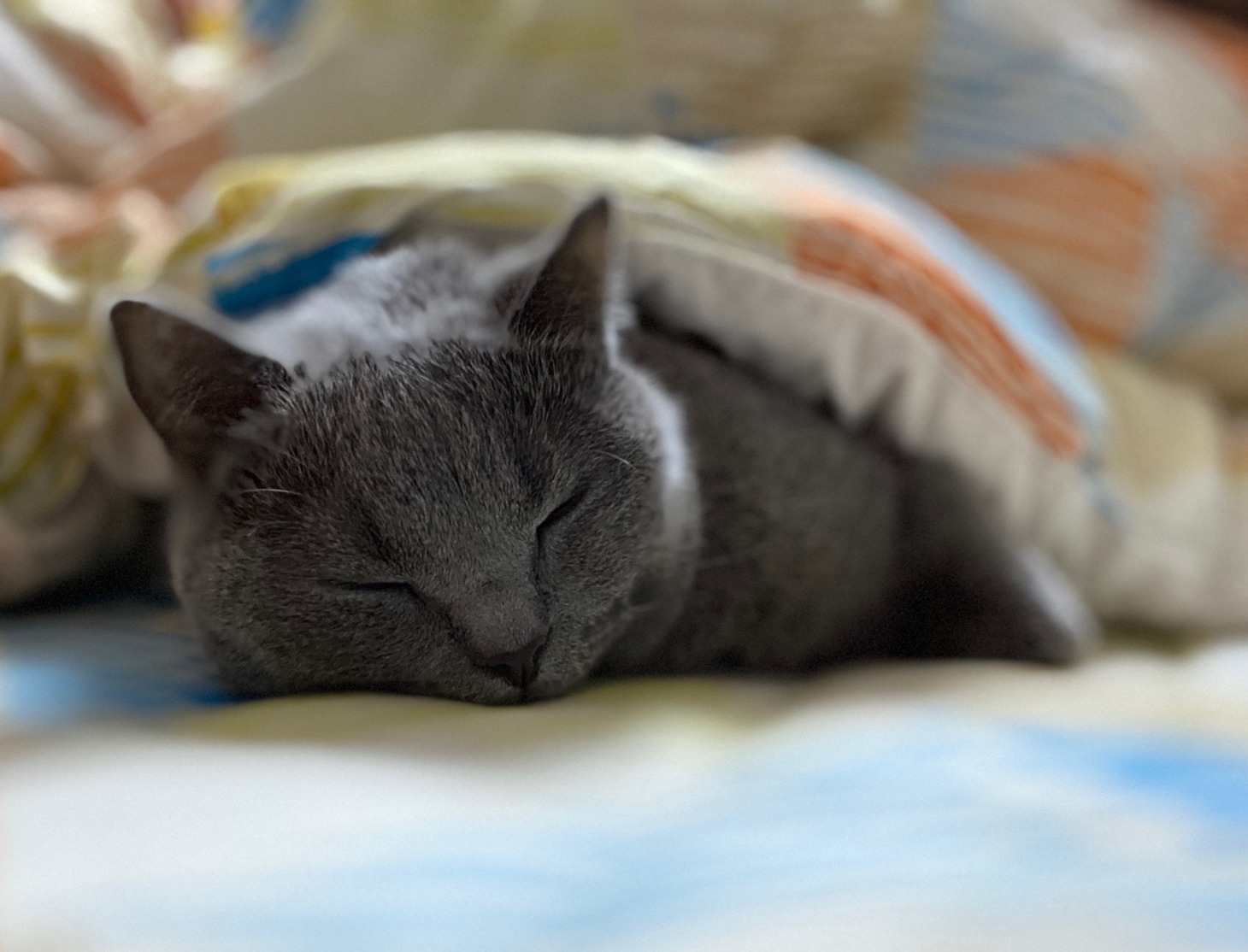 ごえもん
