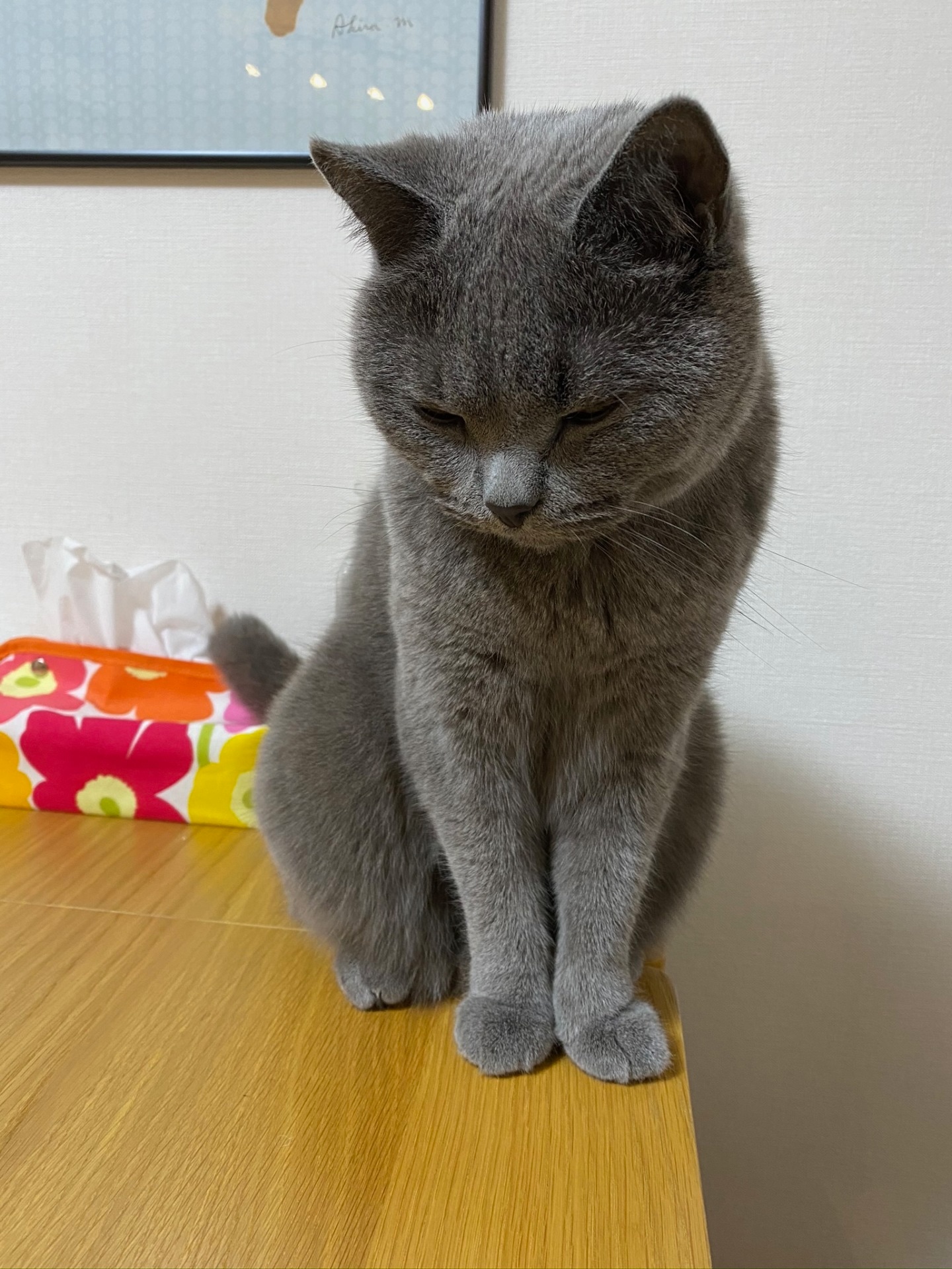 ごえもん