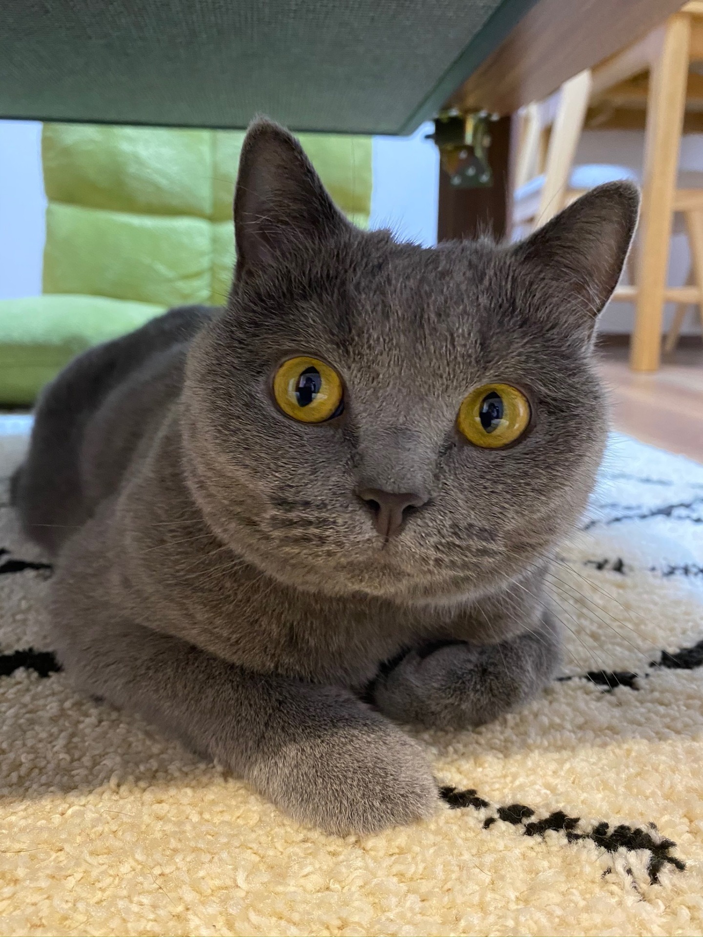 ごえもん