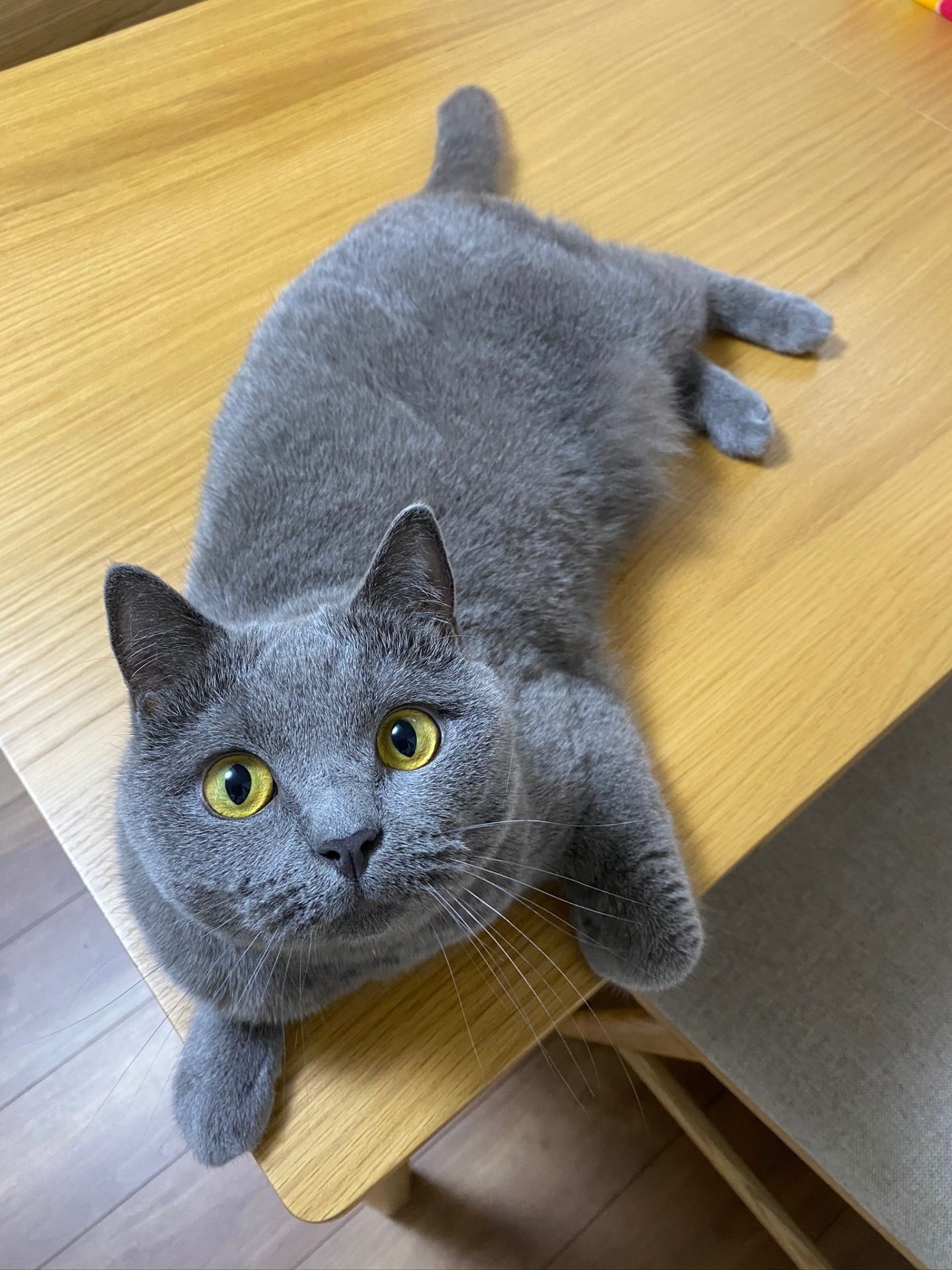 ごえもん