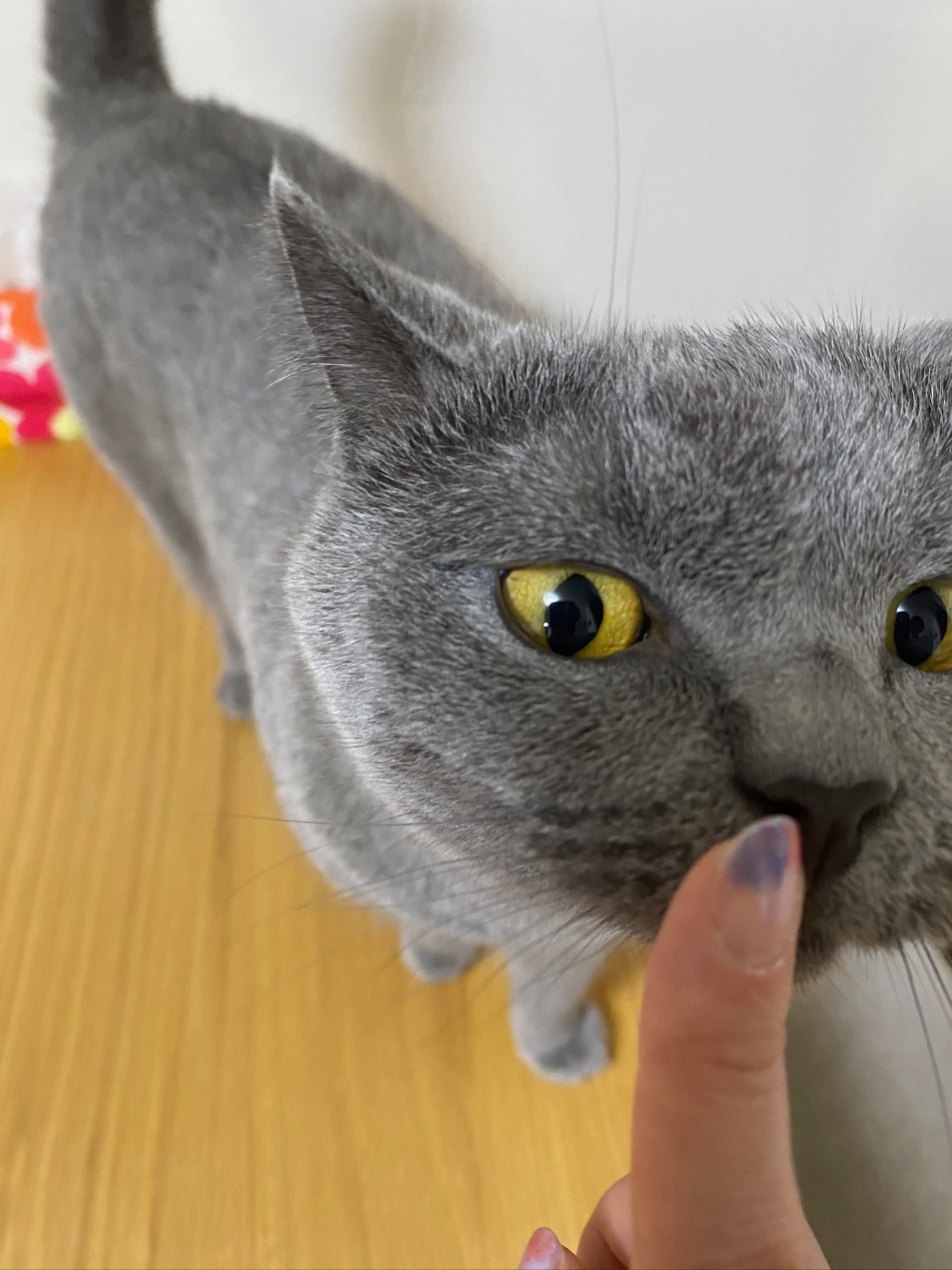 ごえもん
