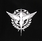 「トランザム 刺繍フラットバイザー」