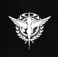 「トランザム 刺繍フラットバイザー」