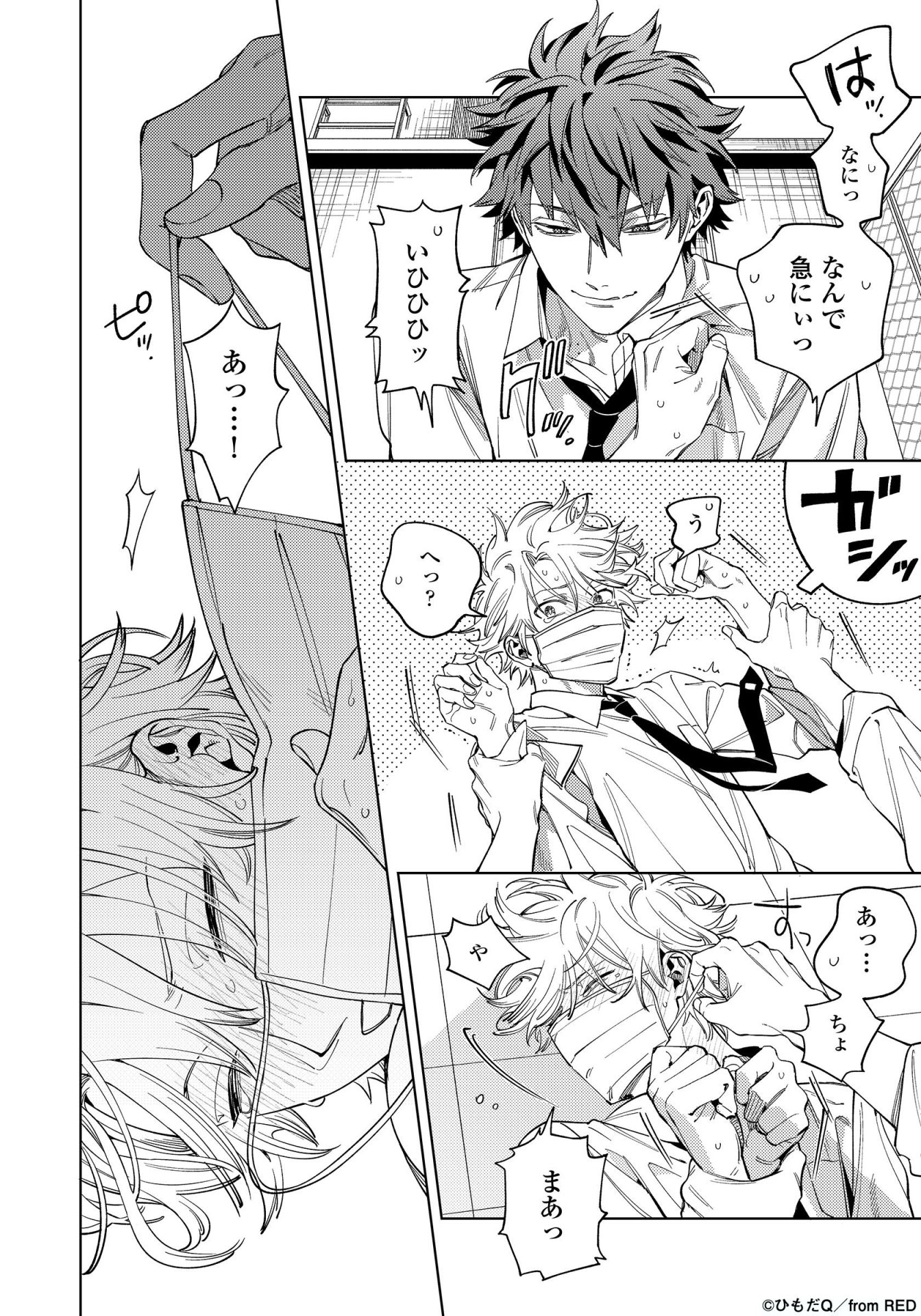 ひもだQ「吠え面に噛みつくキス」より。
