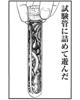 「翻車魚奇譚」より。