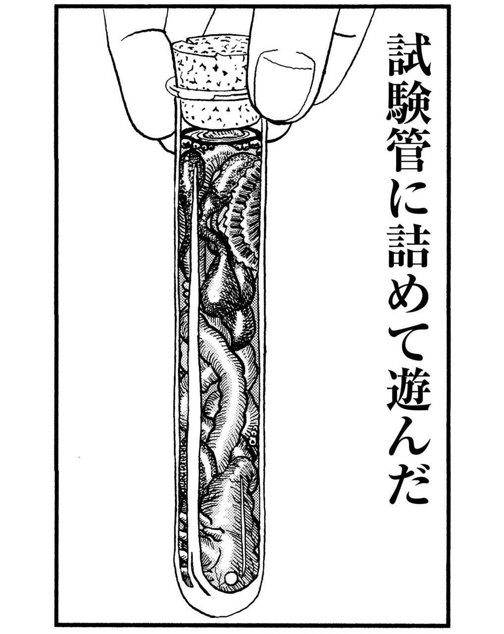 「翻車魚奇譚」より。