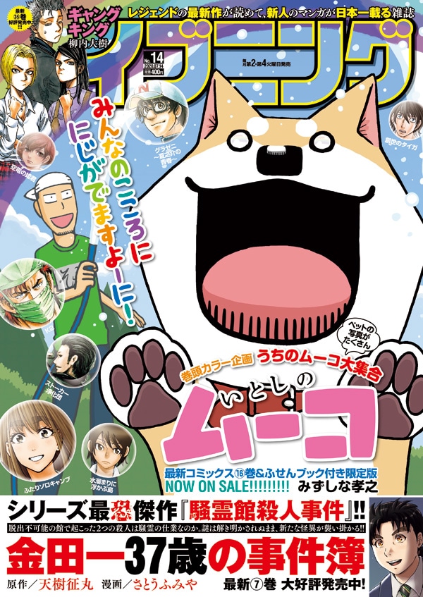 イブニング14号