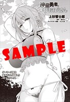 ゲーマーズ特典