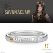 サバナクロー寮モデル