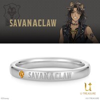 サバナクロー寮モデル