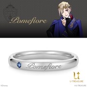 ポムフィオーレ寮モデル