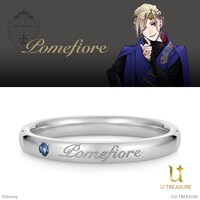 ポムフィオーレ寮モデル