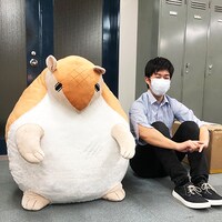 「『吸血鬼すぐ死ぬ』アルマジロのジョンぬいぐるみ【テラサイズ】」