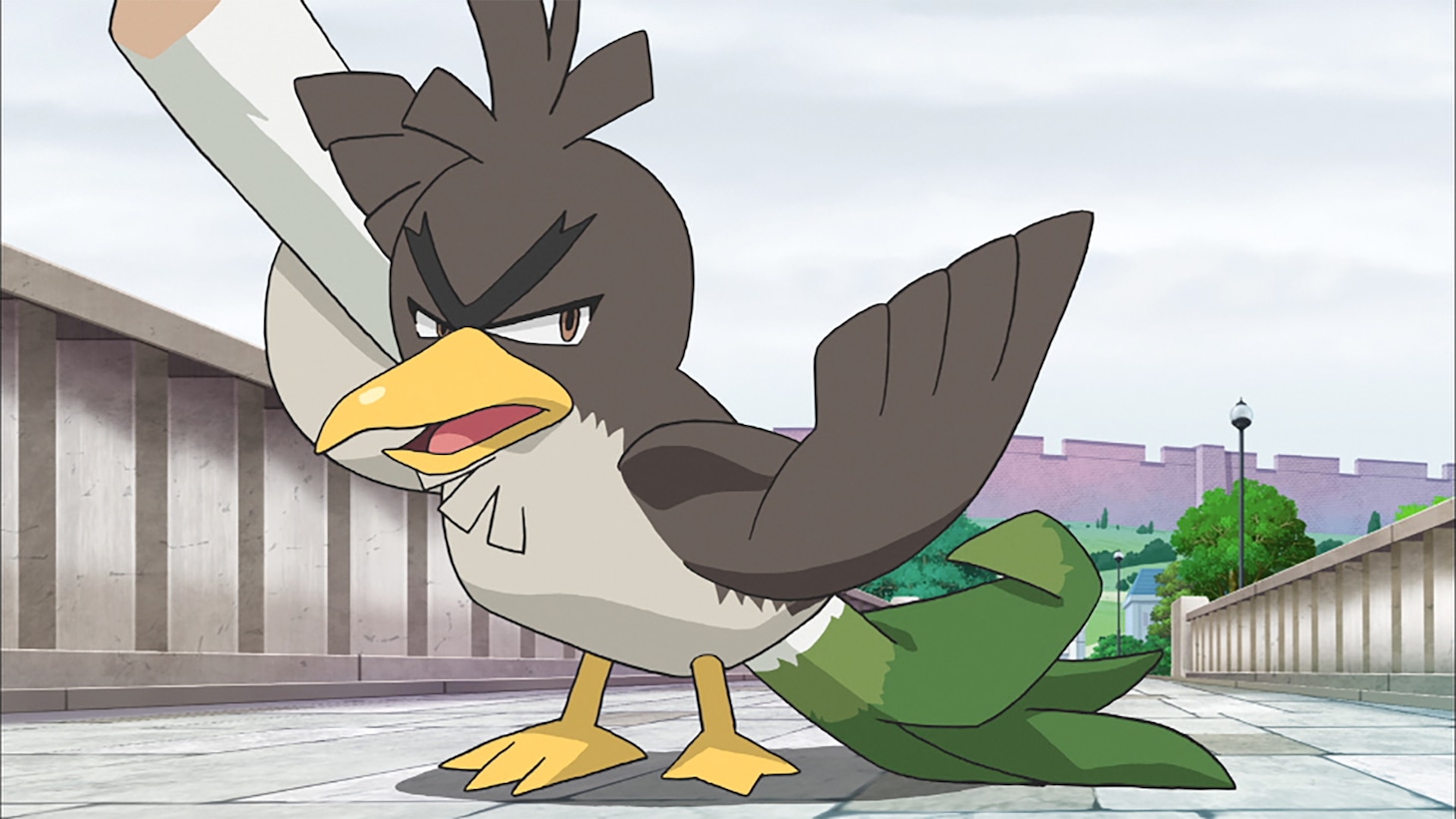 TVアニメ「ポケットモンスター」よりカモネギ（ガラルのすがた）。