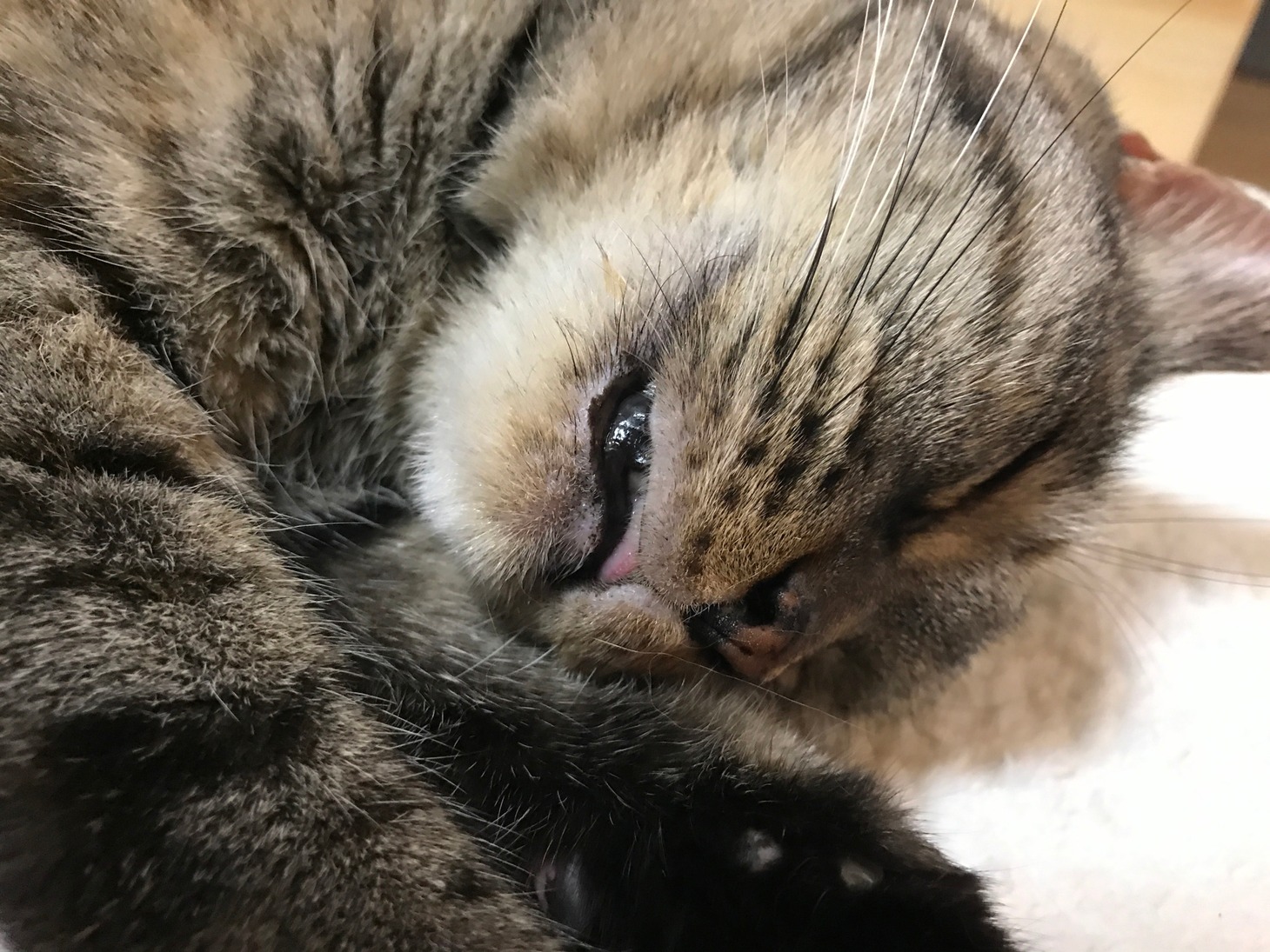 ムギ