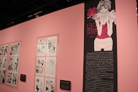 「安野モヨコ展 ANNORMAL」の様子。