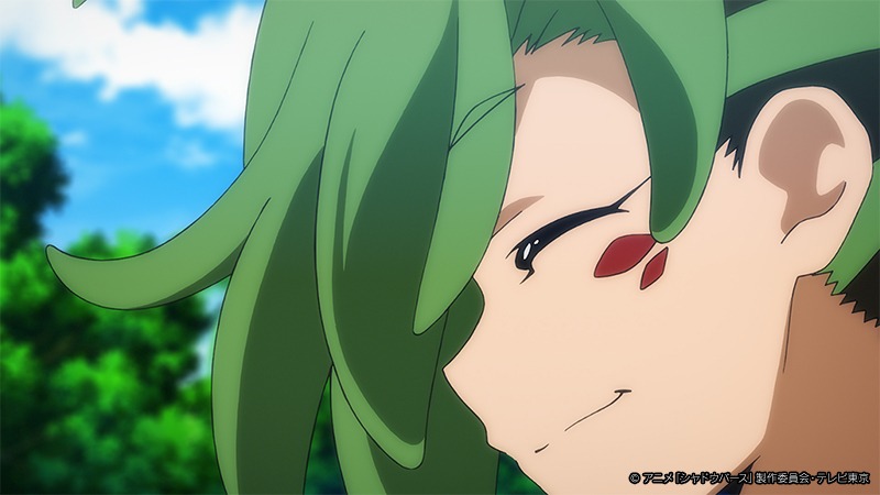 「シャドウバース」第13話の先行カット。