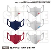 入場特典のマスク。