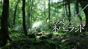実写映画「約束のネバーランド」のビジュアル。