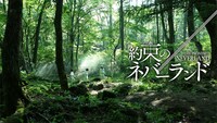 実写映画「約束のネバーランド」のビジュアル。