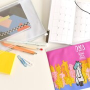 「オーロラポーチ」の使用例。