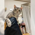 忘却の旋律 片倉真二のブログ まんぷく遊々記 刊行 コミックナタリー 忘却の旋律 片倉真二のブログ まんぷく遊々記 刊行 コミックナタリー