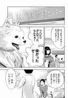 「神獣医」より。