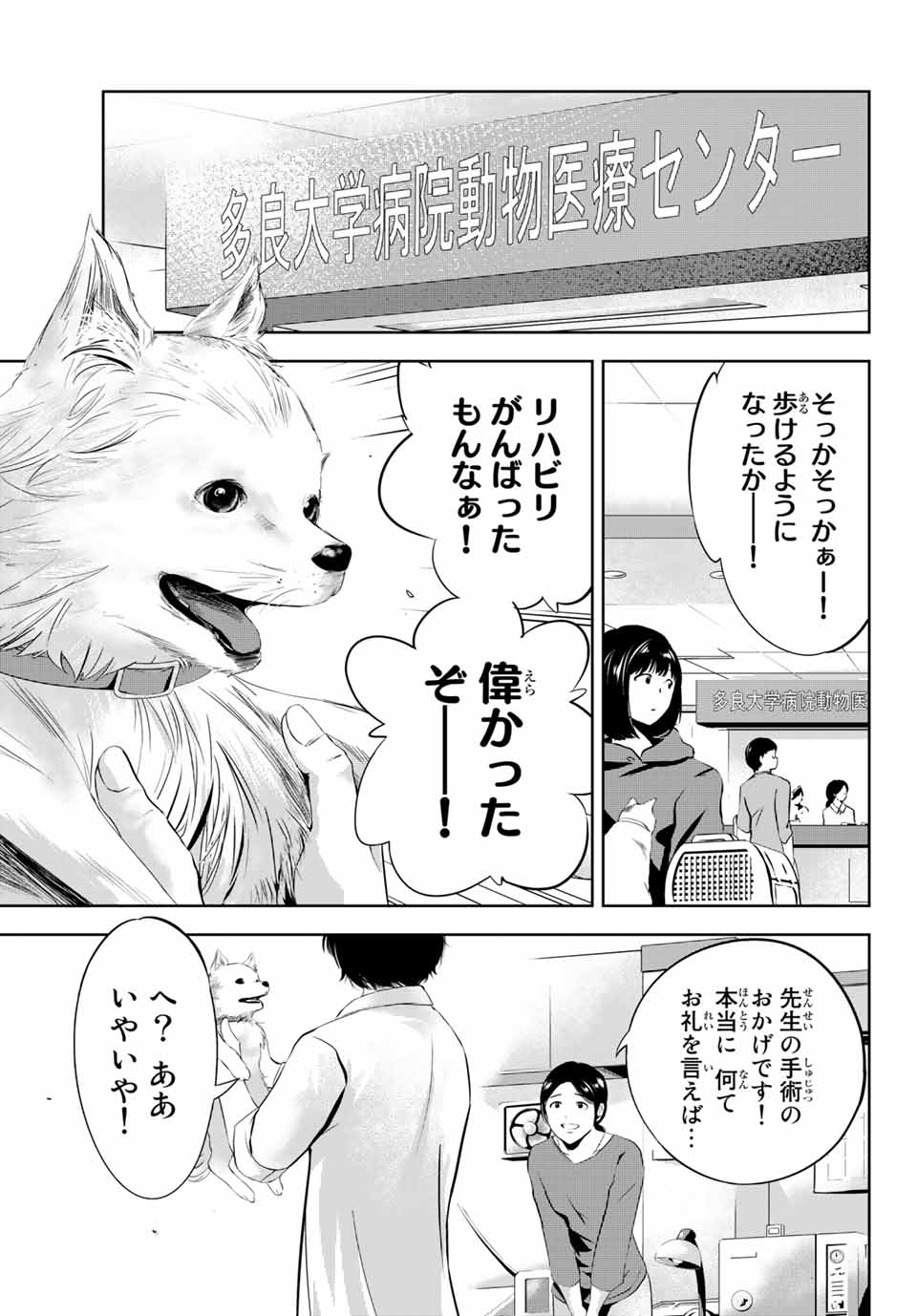 「神獣医」より。