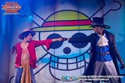 「ONE PIECE LIVE ATTRACTION」イメージ