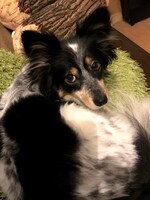 リラックスしている桐。